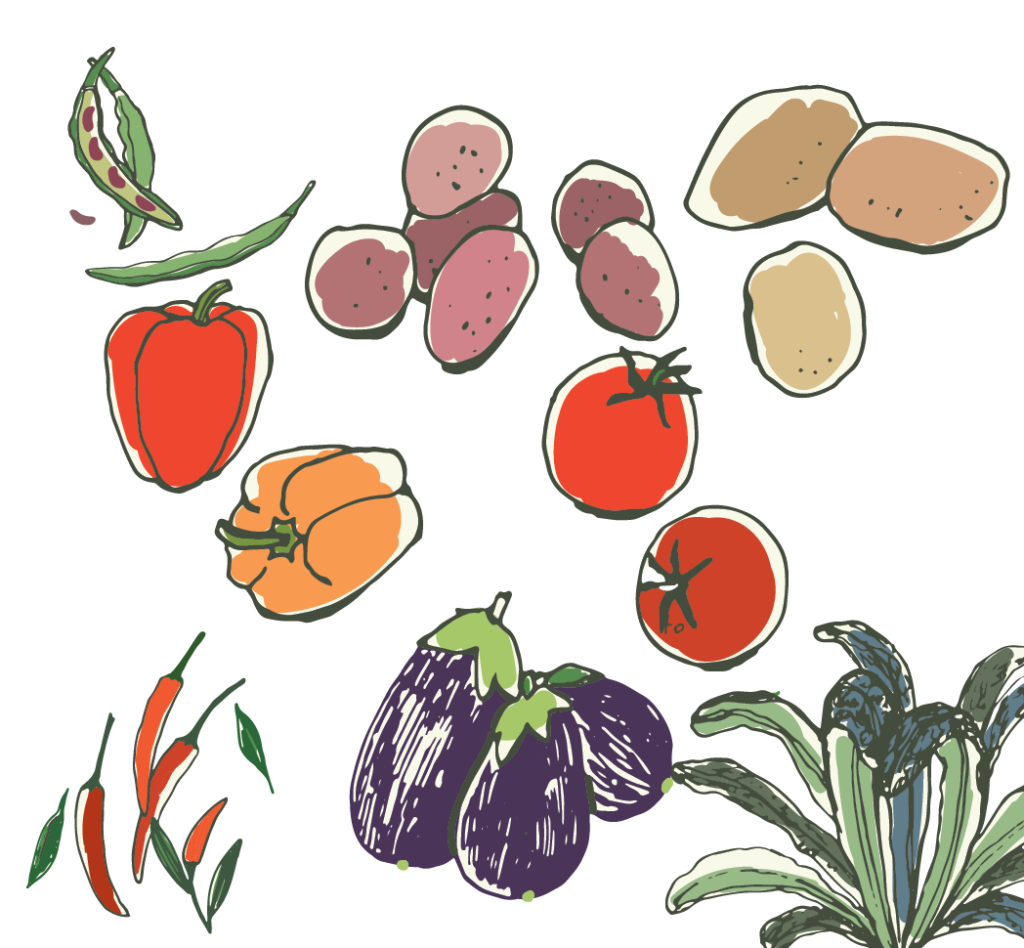 drawing of vegetables